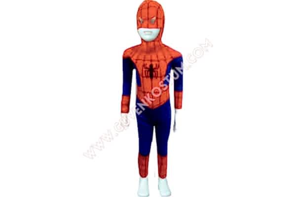 Spidermen Kostümü